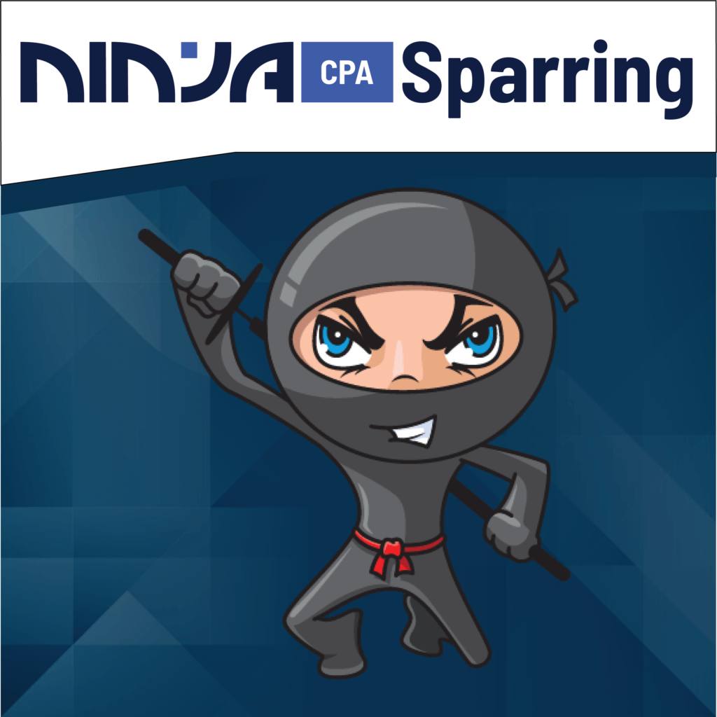 ninja sparring